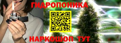молекула духа Бузулук