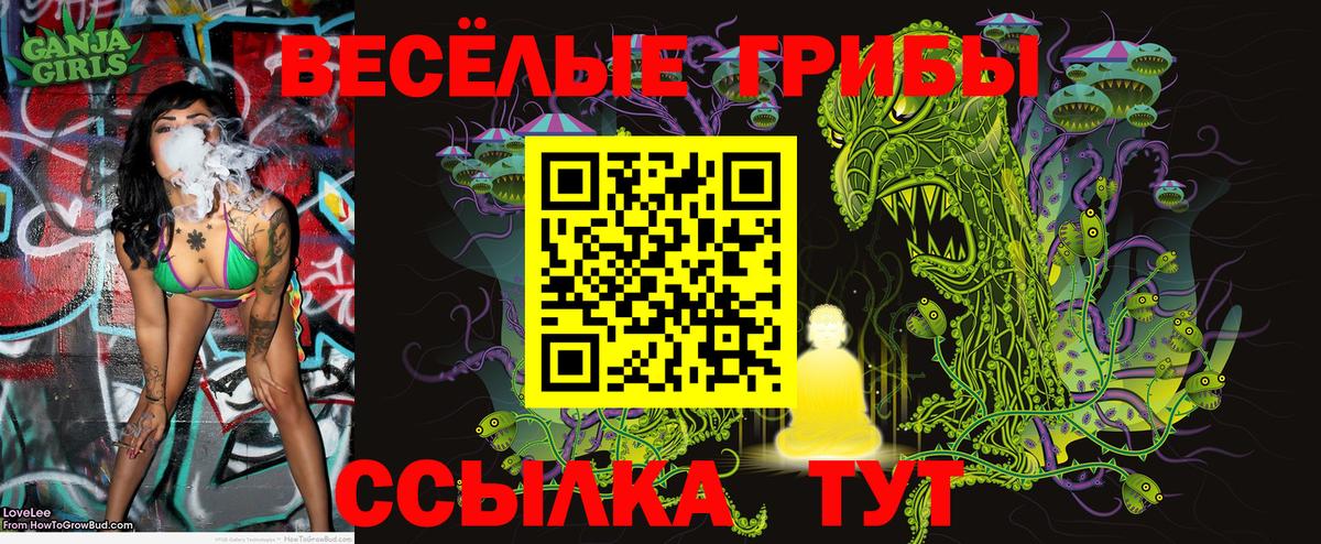 Галлюциногенные грибы MAGIC MUSHROOMS  даркнет сайт  Псилоцибиновые грибы прущие грибы  Нефтекумск  Вход с VPN 