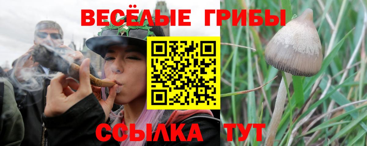 Псилоцибиновые грибы MAGIC MUSHROOMS Нефтекумск